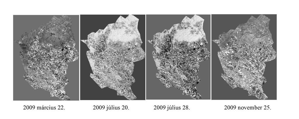 Alapadatok - Landsat TM műholdfelvételek, 7 és 11 sávosak - ezek statisztikai