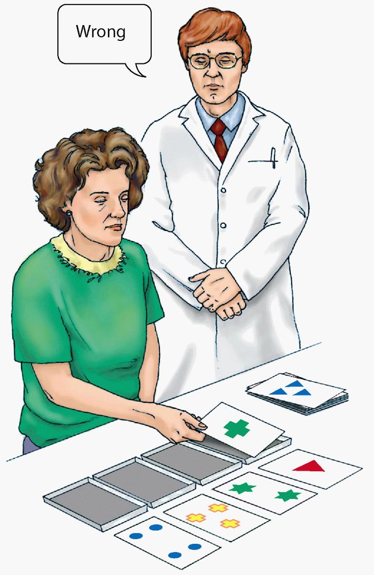 Wisconsin Card Sorting Task: SET SHIFT Patients with damage in the lateral prefrontal cortex has difficulty on the WCST.