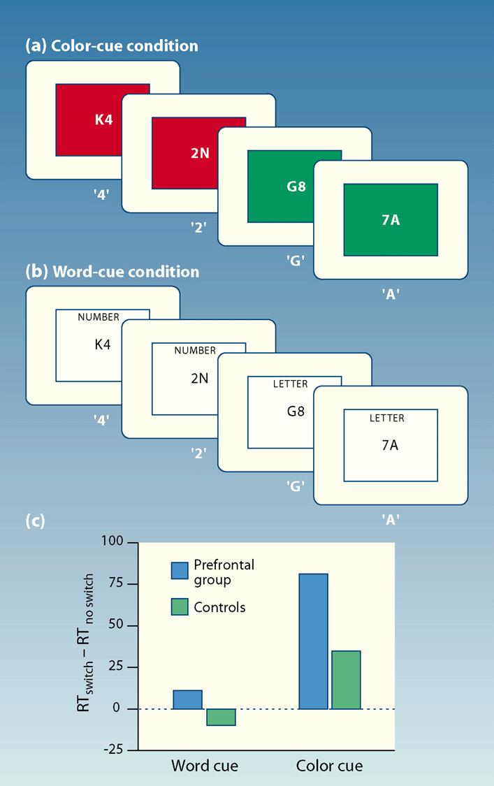 TASK SWITCHING On each trial, a letter-digit pair is presented.