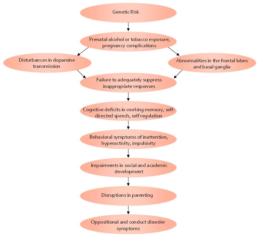 A Possible Developmental Pathway