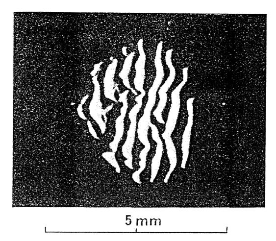 v test F s = nf elválási v hullám (13) ahol v test a testek relatív elmozdulásának sebessége, F s a súrlódási erő, n az egy időben jelenlevő Schallamach-hullámok száma az érintkezési tartományban, v