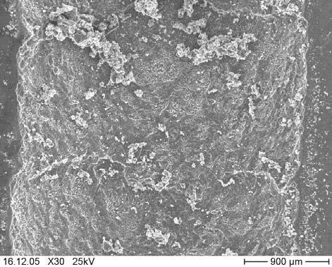 felületének SEM felvétele látható a PoP vizsgálat után. Jól látható, hogy a kopásnyomban a csúszási irányra közel merőlegesen hullámok alakultak ki.