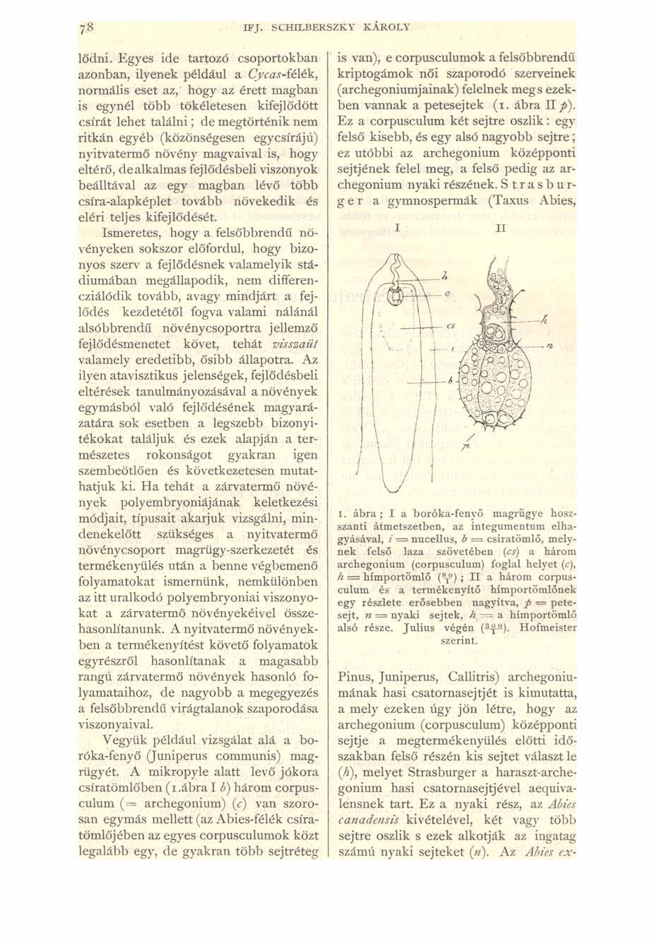 7 8 IF J. SCHILBERSZKY KÁROLY lődni.