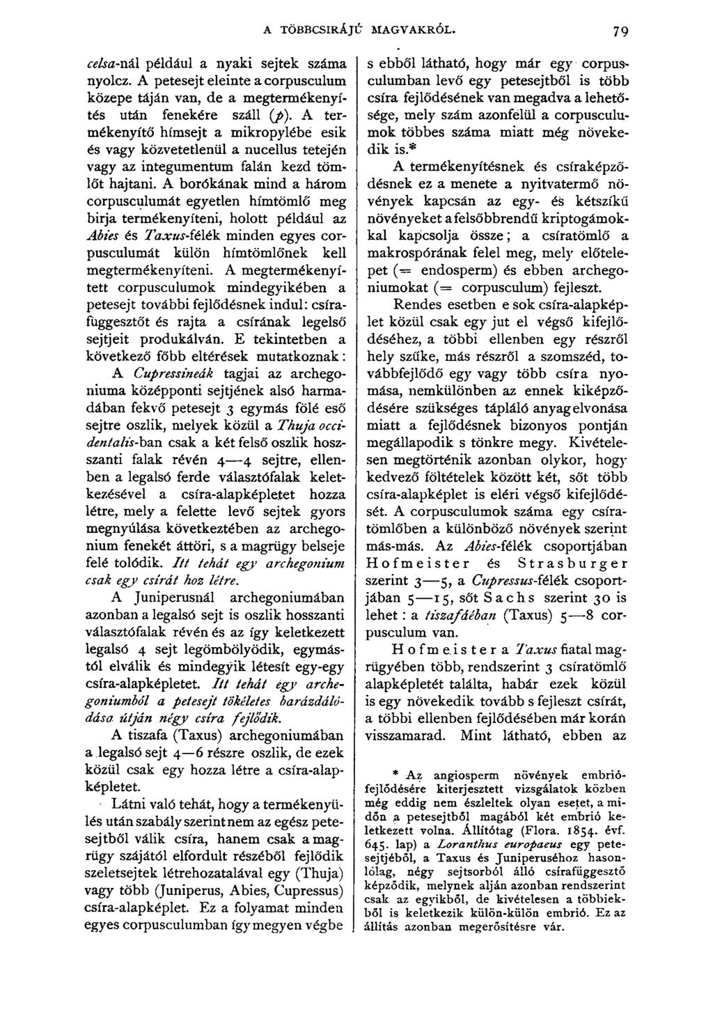 A TÖBBCSIRÁJŰ MAGVAKRÓL. 79 celsa-nál például a nyaki sejtek száma nyolcz. A petesejt eleinte a corpusculum közepe táján van, de a megtermékenyítés után fenekére száll (j>).