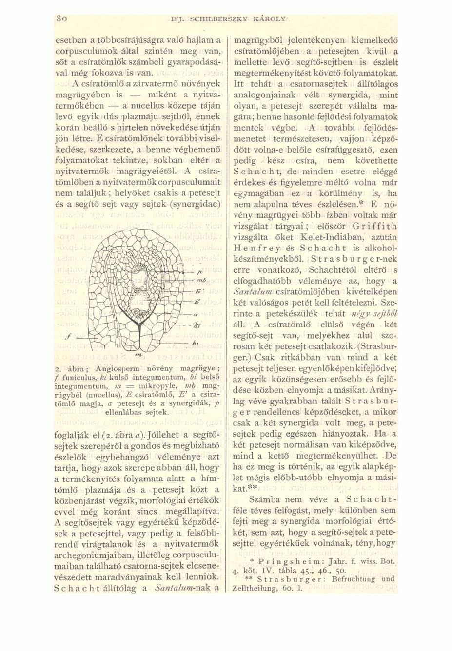 So IF J. SCHILBERSZKY KÁROLY esetben a többcsírájúságra való hajlam a corpusculumok által szintén meg van, sőt a csíratömlők számbeli gyarapodásával még fokozva is van.