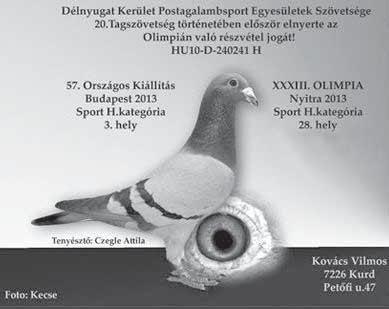 Eredmények - A kat. RÖVIDTÁV B kat. KÖZÉPTÁV C kat. HOSSZÚTÁV - D kat.