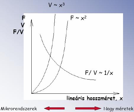 Log weight-lifted 2014.05.11. SKÁLA ANALÍZIS Most physical quantities (force, mass, volume, etc.) scale differently with dimension L Example: weight-lifting of human being.