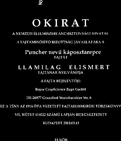 A Puncher, a Safer és a Dribbler hibridjeink olyan meggyôzôen szerepeltek a