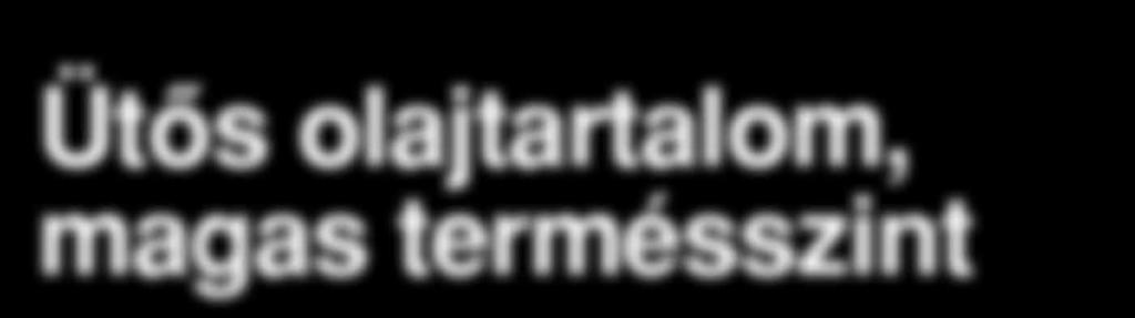 Olajtermés t/ha % kg/ha % % Növényság Puncher 2012 4,42 106,8 1872 111,2 47,11 st1 2012 4,28 103,4 1779 105,6 46,18 st2
