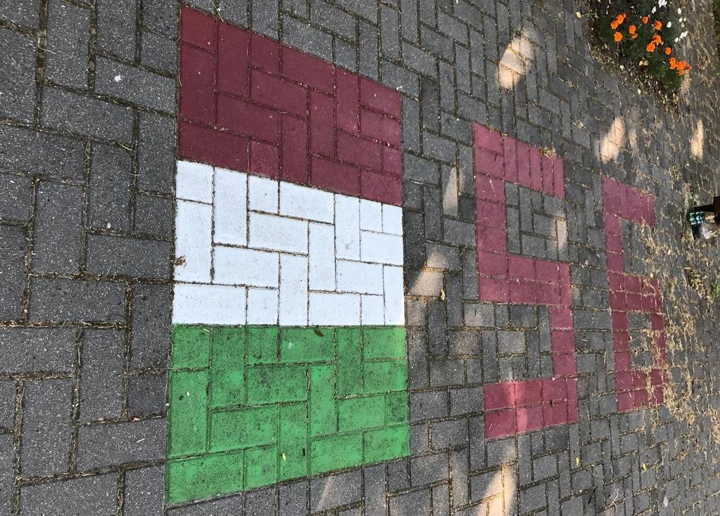 Szerepkör: A közterület szerepköre a betöltött funkció függvénye.