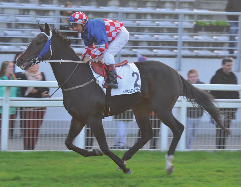 HÍREK Bemutatjuk a Lovaregyleti Díj nyerő, Amigo Star származását Arctic Tern (USA) Bering (GB) Beaune (FR) American Post (GB) Sadlers Wells (USA) Wells Fargo (GB) Cruising Height (GB) Amigo Star