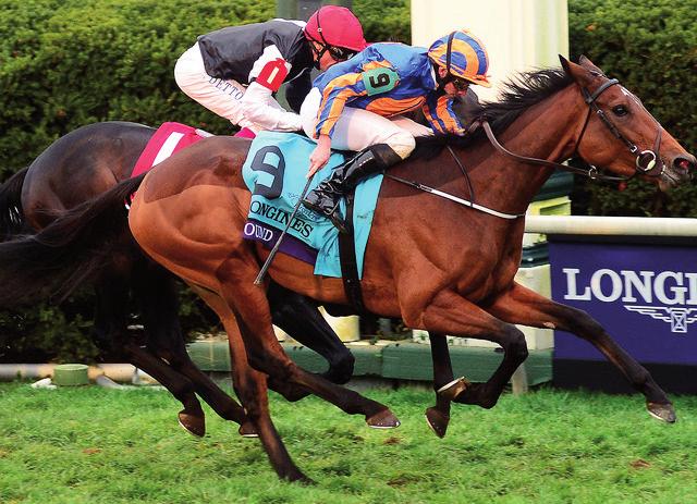 A korábban Európában versenyző páros, Ectot (Jose L Ortiz) és Flintshire (Javier Castellano) is nagy veszélyt jelenthet rá, mellettük pedig Highland Reel (Seamie Heffernan) is kiemelhető.