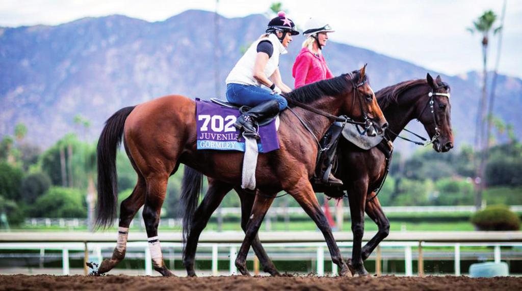 nevezetesen Intricately (Donnacha O Brien).
