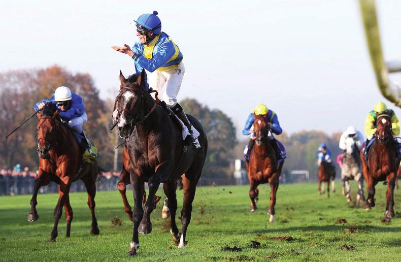 Gormley (Victor Espinoza), Klimt (Rafael Bejarano), Syndergaard (John Velazquez), Theory (Javier Castellano), Classic Empire (Julien Leparoux) és Practical Joke (Tyler Gaffalione) is sansznak számít.