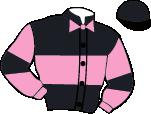 GALOPP 2016.11.06 VIII. FUTAM 15:35 (274) Pálya: 11 - Kincsem Park A futam neve: GIPSY DREAM HENDIKEP (V/b.