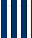 2012 során az üzletág ezt e az új stratégiát alapozta meg.