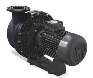 előszűrővel, IE2 56639 5538,83 151,2 0,49 Prefilter Archivo Pieza: BOMBA LPP-7.5CV Edición: 007.04.