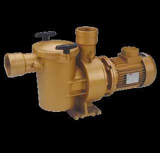 Optional: 60 Hz pumps, code XXXX-0810. Pumps with NPT outlets, code XXXXX-1110.