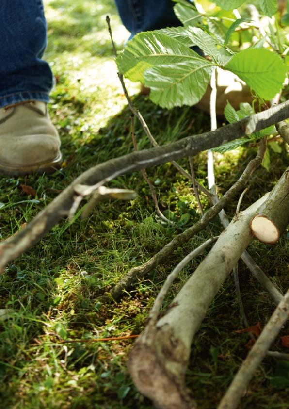 Faápolás Akkus metszőolló 38 Akkus