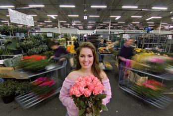 hortus hungaricus szakmai magazinok Nyitva tartás: