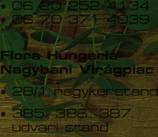 növények, leánderek nagy
