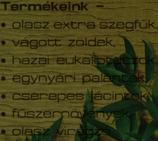 Flora Hungaria Nagybani