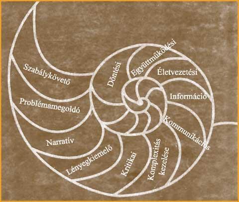 Intelligens = intelligere: észrevesz, érzékel, megismer, felfog Intelligencia: az embernek az az összetett képesség rendszere,