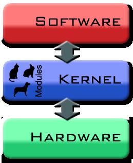 kernel.