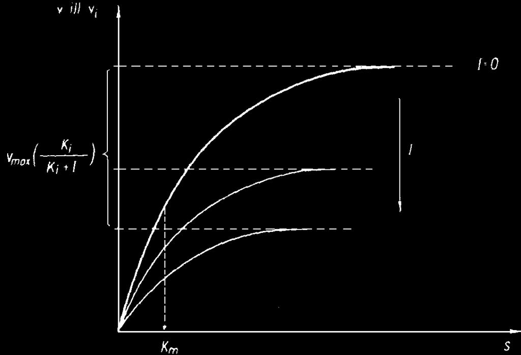 K v max( S ) K + ( ) vi = K + ( S ) M V max értéke az inhibitor koncentráció növelésével csökken, a K m nem változik 29 A