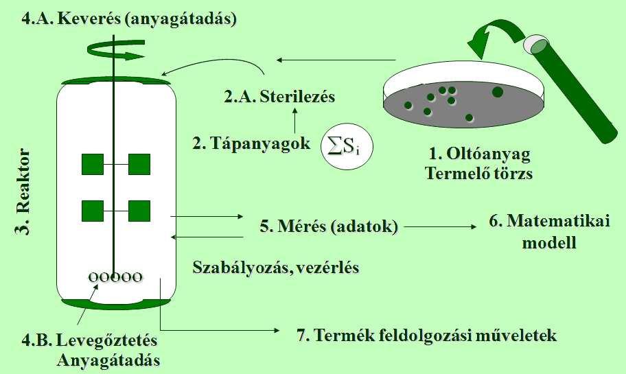 Ez a fermentáció végéig tart, amikor már rendelkezésünkre áll kész fermentlé, amely tartalmazza a kívánt végterméket.