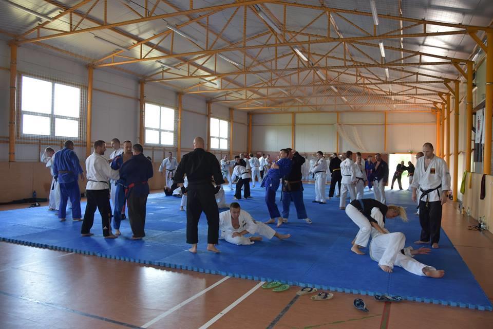 Radava 2016 nyári tábor Szlovákiában Július 21-24 között tartotta Shihan Harsányi Csaba mester nyári táborát Radava helyiségben.