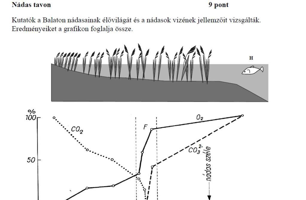 Példa az ökológiai