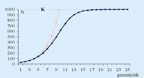 az egyedek koreloszlásától, az ivararánytól.