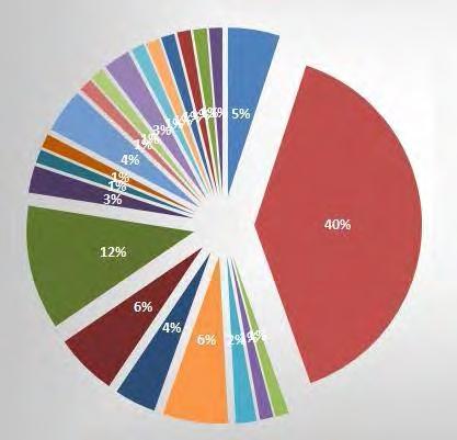A külföldi foglalkoztatás előnyei Kék: Karrierépítés 5% Piros: Magasabb kereset 39.5% Zöld: Nagyobb befolyás 1.3% Lila: Kiegyensúlyozott életmód 1.