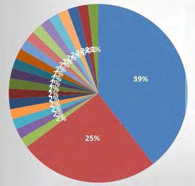Rendezetlen környezet, rossz járdák: 2,56% Sötétlila: Alacsony támogatás a gyermekre: 2,56% Türkizkék: Nincsenek hiányosságok: 2,56 Sötét narancssárga: Nincs minőséges élelmiszeripari termék: 2,56%