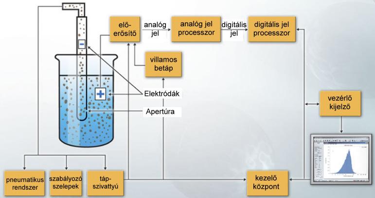 Az egyik lehetıség, hogy a geometriailag egyenértékő átmérıt egy azonos vetületi felülető gömb alakú szemcse átmérıjeként x 4A π definiáljuk.