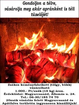 veszélyes fák kitermelését. Érdeklődi, időpontot egyeztetni: Ficsor Zsolt Település karbantartási vezetőnél Tel.