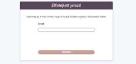 IV. Program elérése Szemfüles program Egy személyes (1 felhasználós) cég kézikönyv 1. Belépés webes felületen https://app.smarteyesaver.