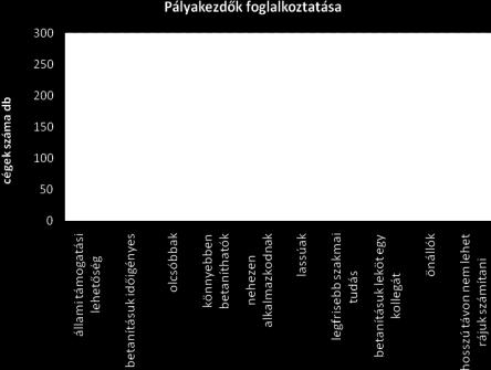Cégmérettől, és általánosságban véve nemzetgazdasági ágtól függetlenül a támogathatóság lehetősége a legfőbb motiváció a fiatalok foglalkoztatásakor, továbbá a friss szakmai ismeretek.