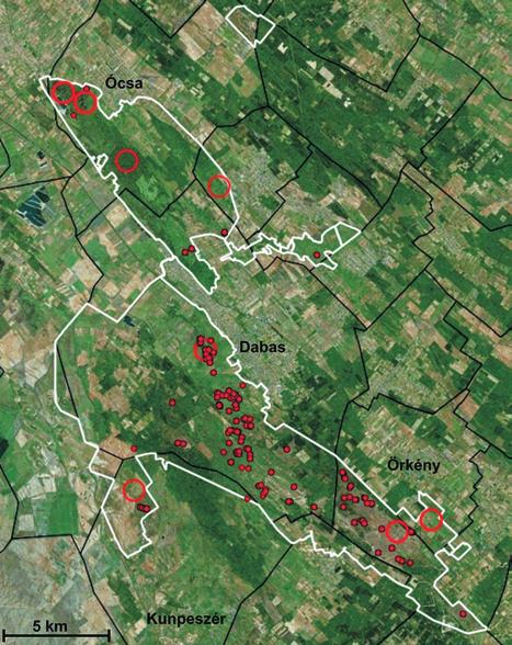 Egyenesszárnyú rovarok a Duna Tisza közi Turjánvidéken 475 Ábramagyarázat a vizsgált terület határai irodalmi adatok becsült elhelyezkedése a saját adatok pontos térbeli elhelyezkedése 1. ábra.