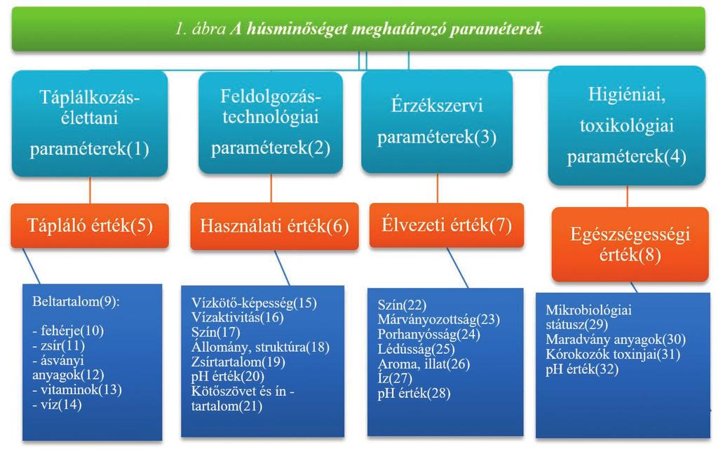 Az előrejelzések szerint a népesség növekedése, különösen az ázsiai országok szocio-ökonómiai státuszának javulása miatt a vörös húsok iránt egyre nagyobb lesz az igény, 2050-ig a marhahúsfogyasztás