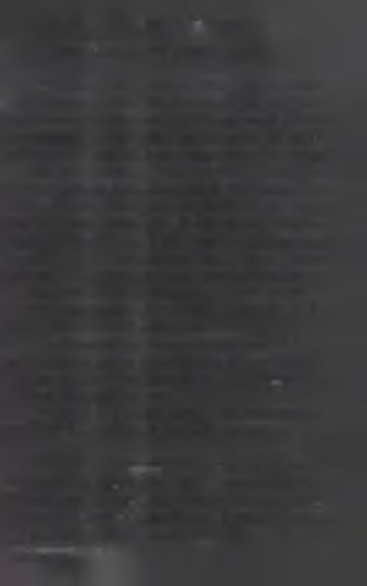 3. Szárnyas Sárkány Hete Nemzetközi Utcaszínház Fesztivál 1993. a Barokk Nemzetközi éve volt.