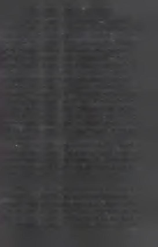 A fesztivál sikerességének következményeként 1993-óta minden nyár júliusában 4 napos rendezvénysorozat keretében kerül megrendezésre.