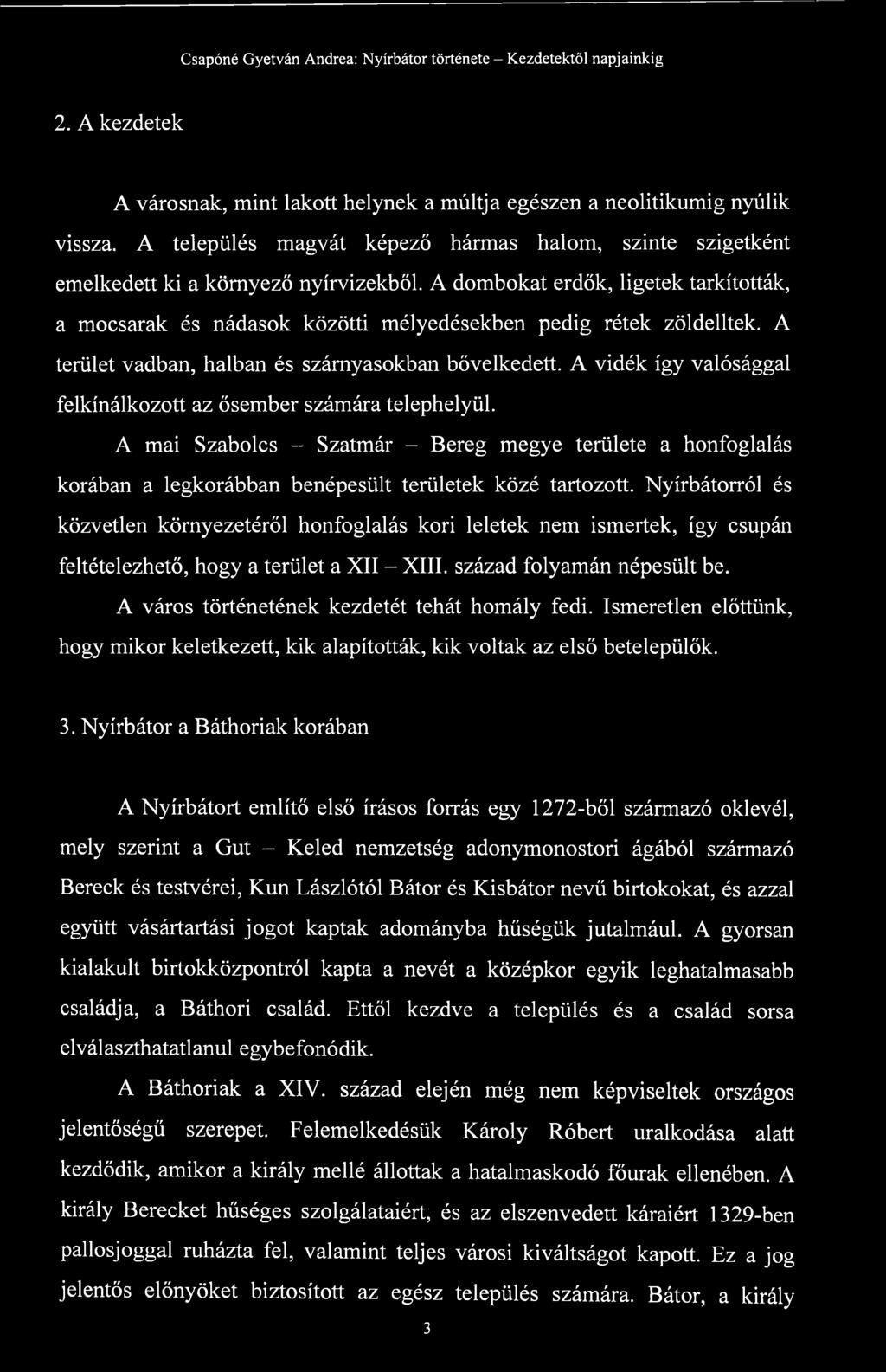 A vidék így valósággal felkínálkozott az ősember számára telephelyül. A mai Szabolcs - Szatmár - Bereg megye területe a honfoglalás korában a legkorábban benépesült területek közé tartozott.
