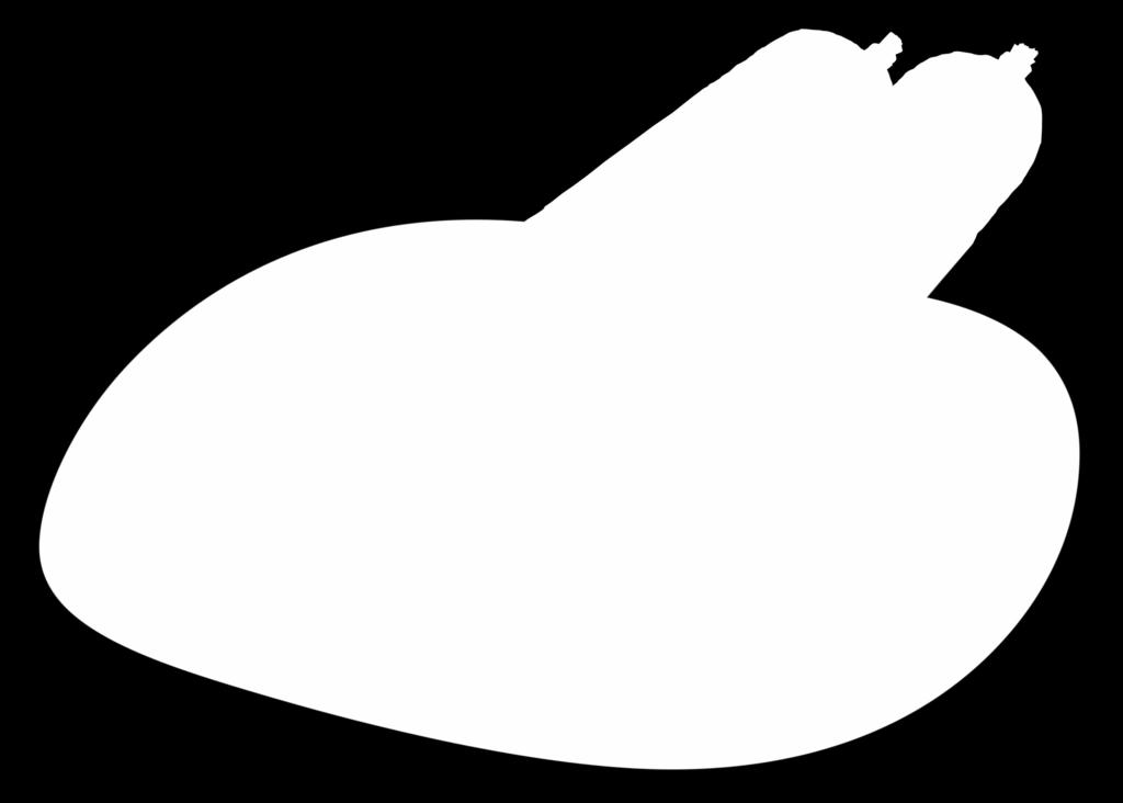 PARASZTKOLBÁSZ, TÜZES KOLBÁSZ (2.