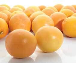 GRAPEFRUIT*** 1 kg FEHÉR