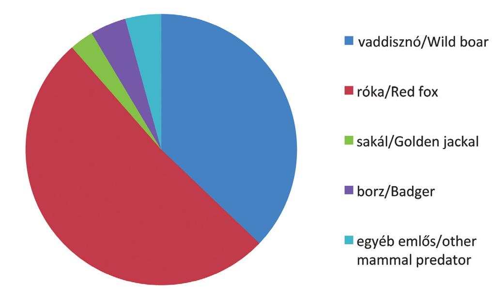 vaddisznó kártétele 28,1%-ra esett vissza (3. ábra). A róka és vaddisznó kártétele közötti eltérés szignifikáns volt (p=0,0227).