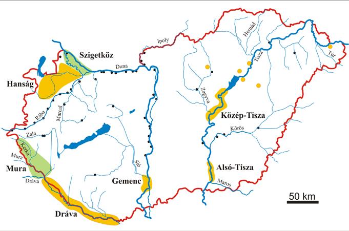 Hódelőfordulások Magyarországon (Bajomi, 2011). A hazai populáció folyamatosan növekszik, 2011-ben az állományt Bajomi Bálint (2011) 700-900 egyedre becsülte.