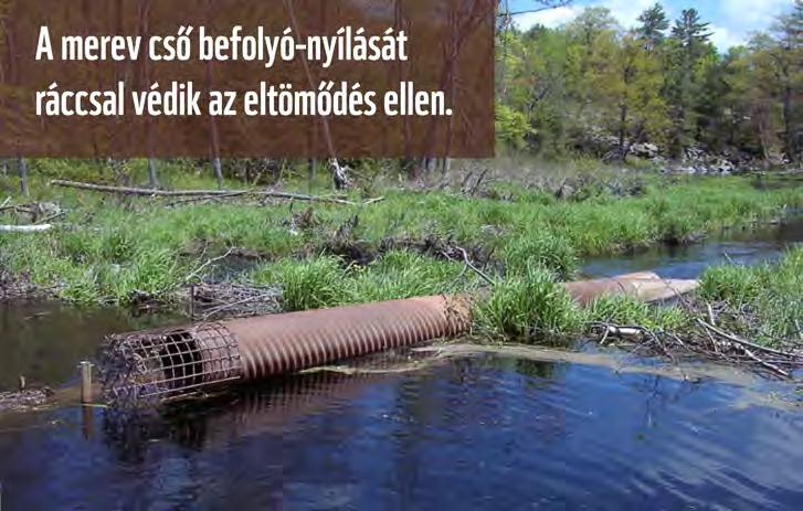 A vízügyi szakembereknek rendszeres feladat ezeket a gátakat szétszedni.