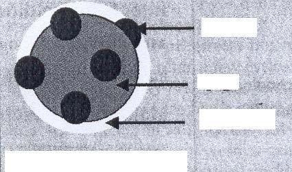 PA 6-ban alkalmazott nanoméretű kaolin nukleálószerként működik, és ez magyarázza a kedvező tulajdonságokat.